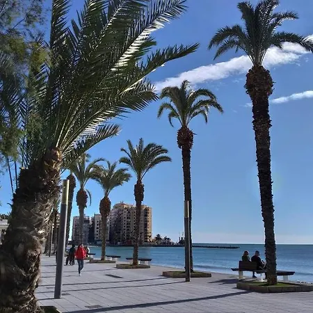 Carpe Diem Wifi * Torrevieja