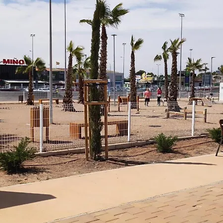 Carpe Diem Wifi * Torrevieja