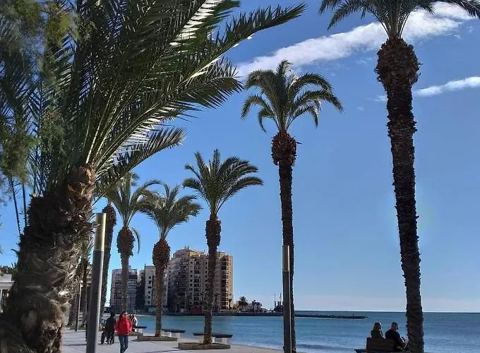 Carpe Diem Wifi * Торевьиа