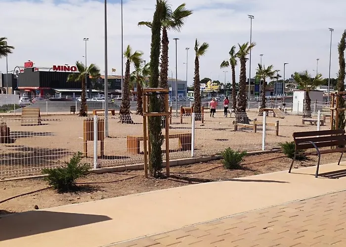 Carpe Diem Wifi * Torrevieja